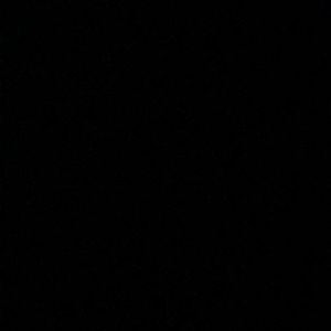 Meet your Posher, Lilly